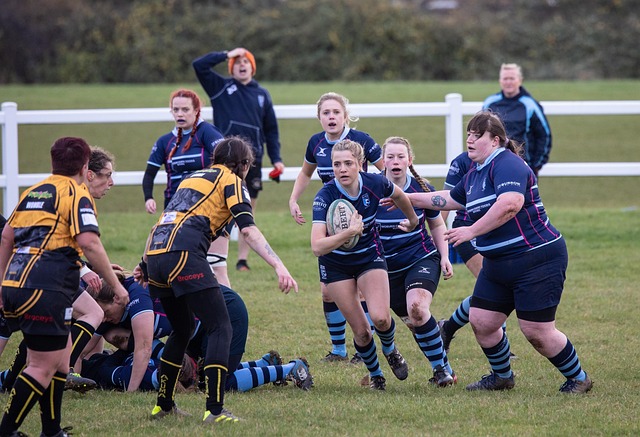 自由度高的 自由度高的