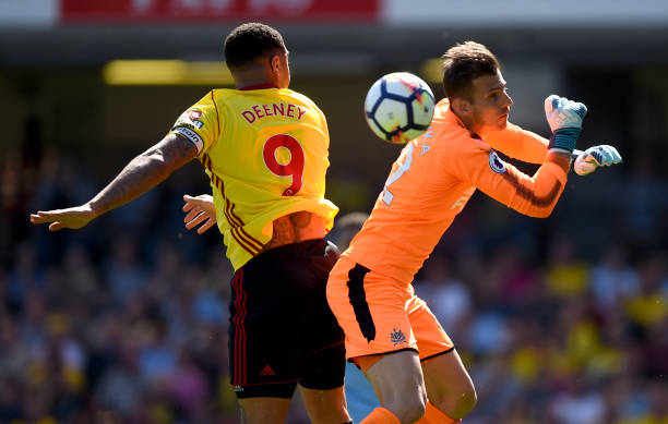 进行了细致 进行了细致